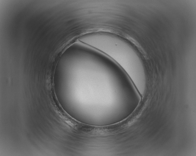 X0000073530977200607311011