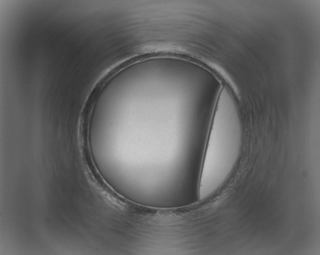 X0000073530983200607311011