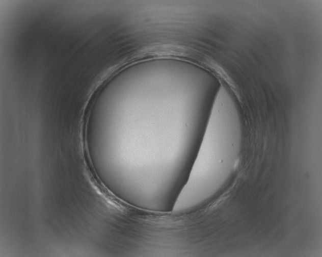 X0000073530986200607311011