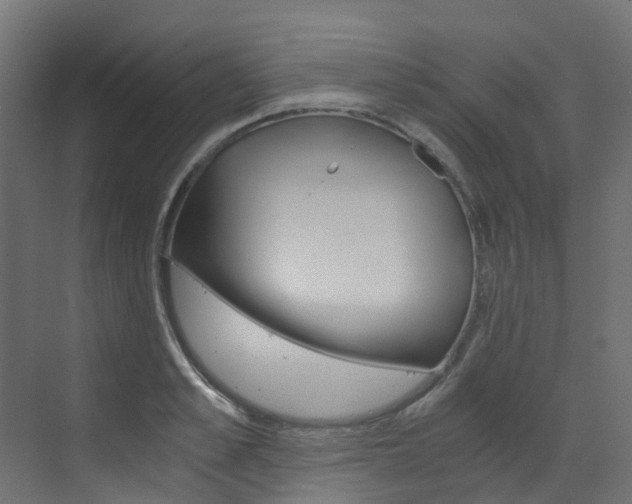 X0000073530989200607311011