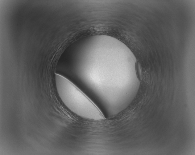 X0000073531009200607311010