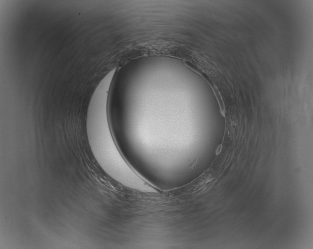 X0000073531010200607311010