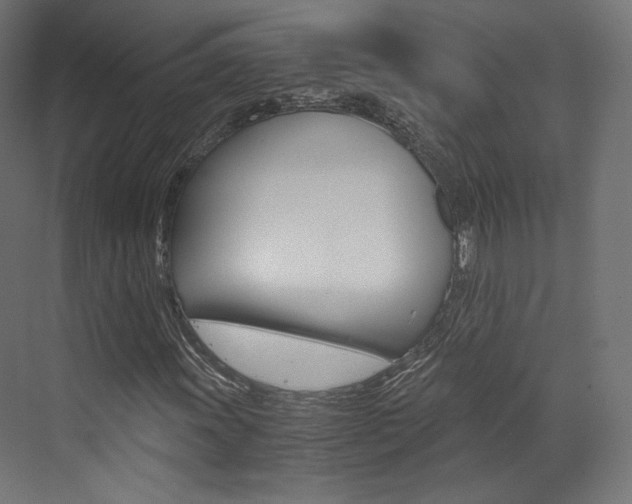X0000073531011200607311010