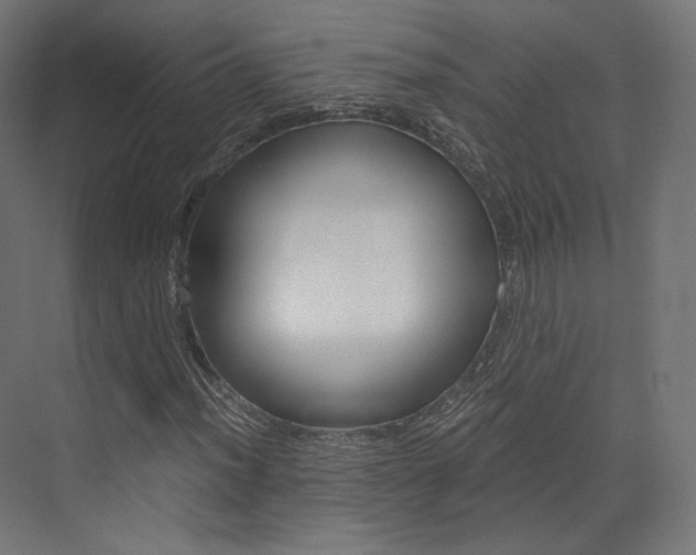 X0000073531012200607311010