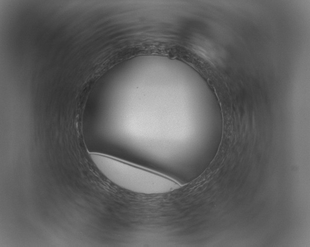 X0000073531013200607311010
