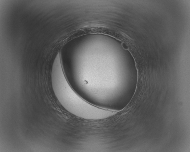 X0000073531014200607311010