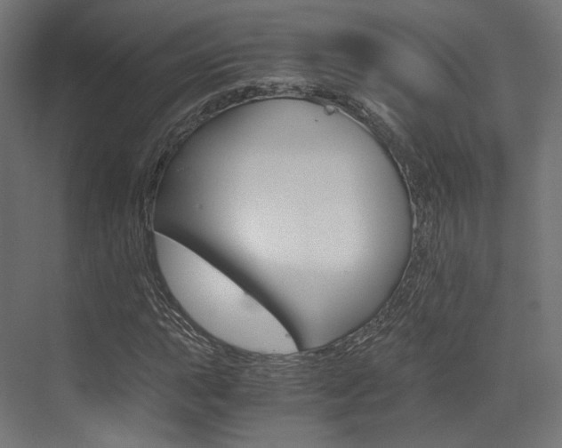 X0000073531015200607311010