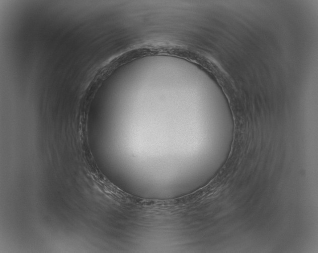 X0000073531016200607311010