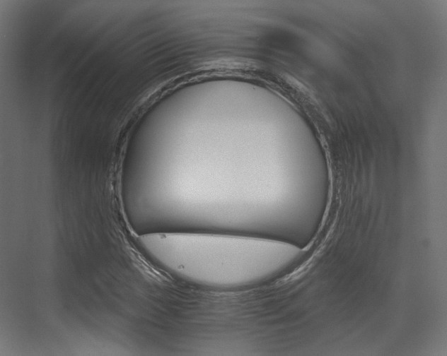 X0000073531017200607311010