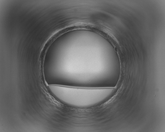 X0000073531021200607311010