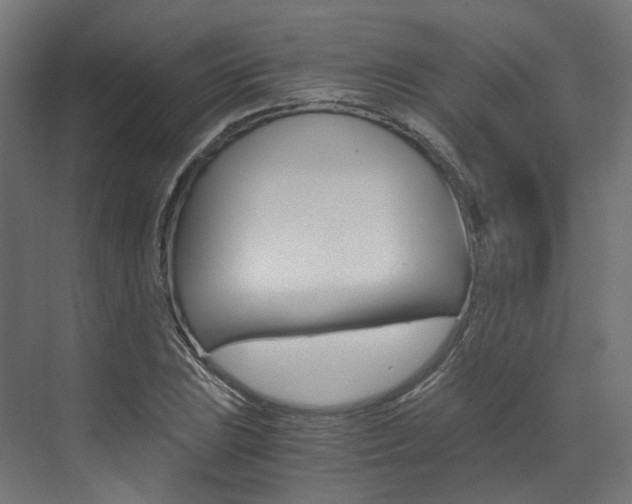 X0000073531023200607311010