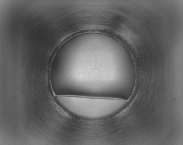 X0000073531025200607311010