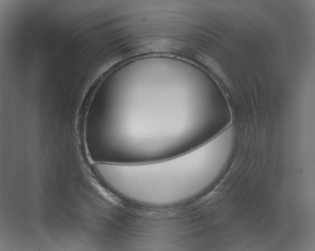X0000073531026200607311010