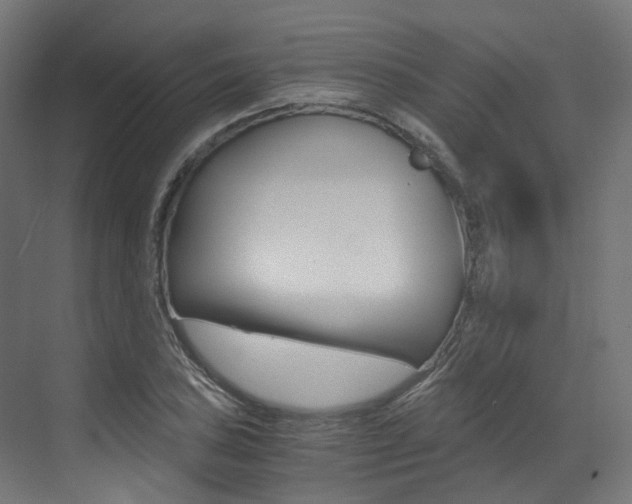 X0000073531027200607311010