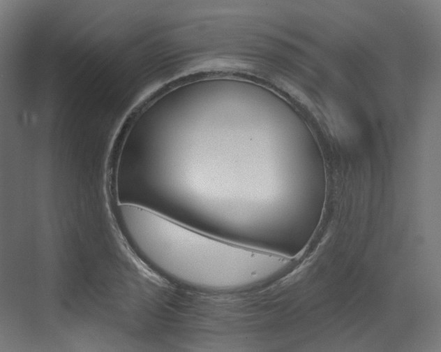 X0000073531029200607311010