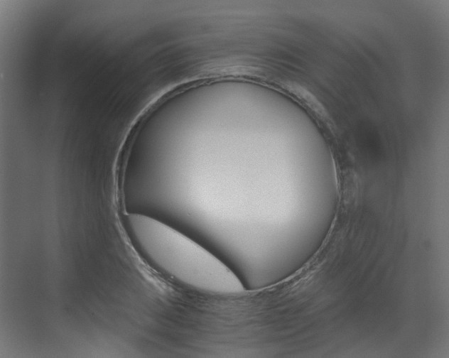 X0000073531031200607311010