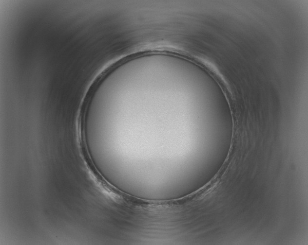 X0000073531032200607311010