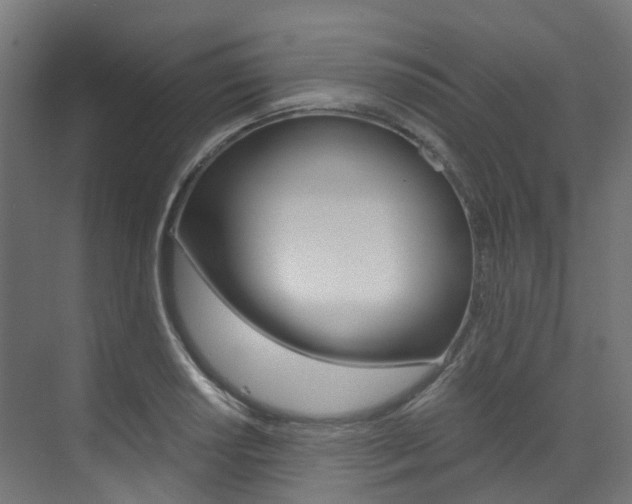 X0000073531034200607311010