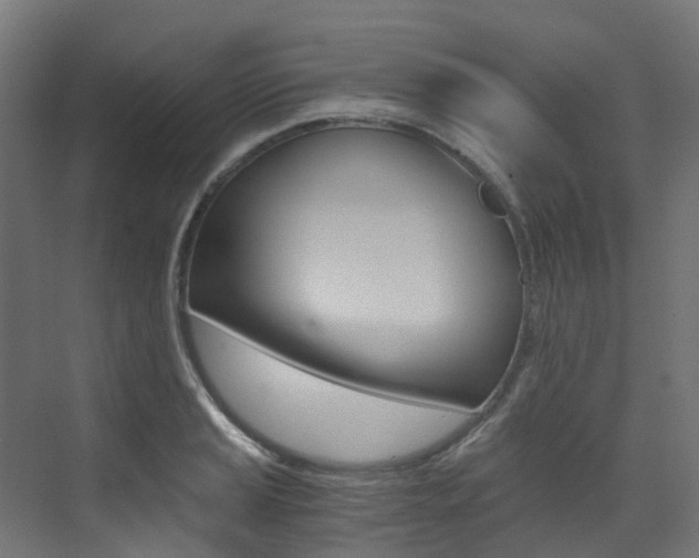 X0000073531037200607311010