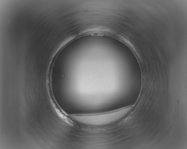 X0000073531042200607311010