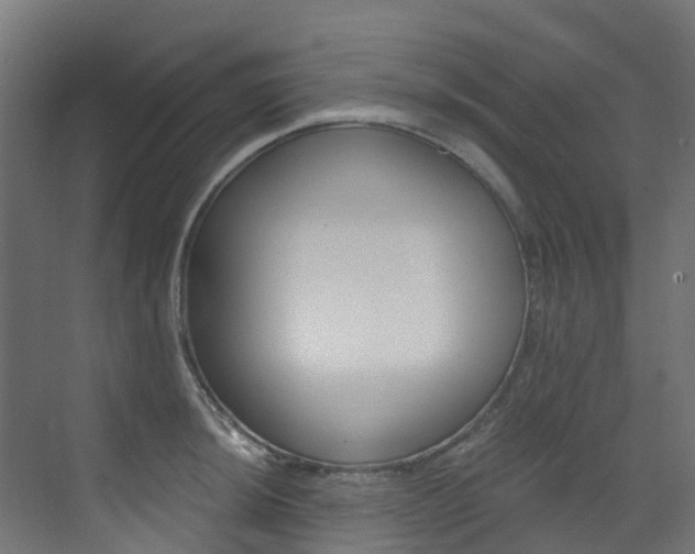 X0000073531044200607311010