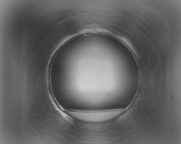 X0000073531046200607311010