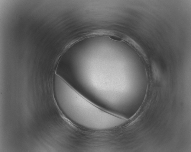 X0000073531049200607311010