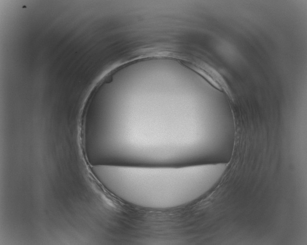 X0000073531051200607311010