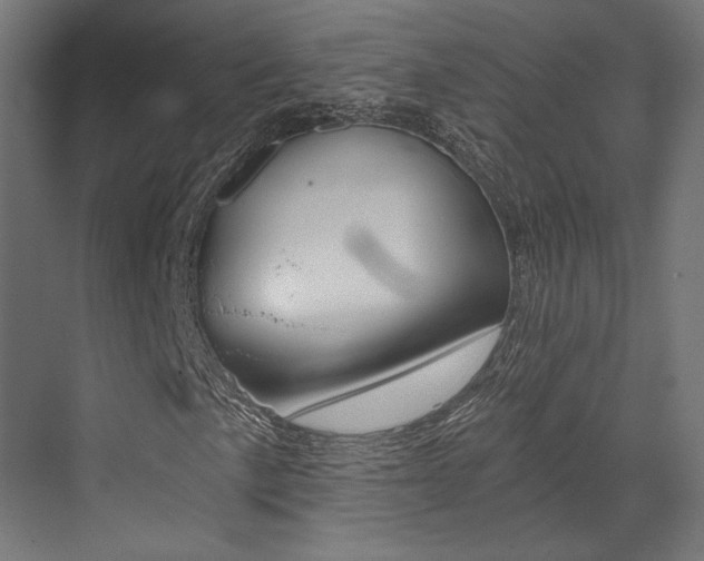 X0000073531057200607311010