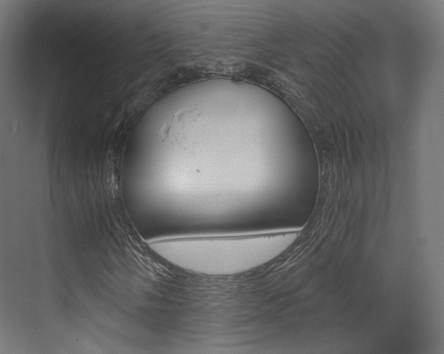 X0000073531058200607311010