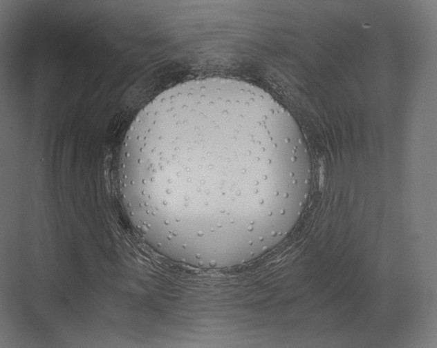 X0000073531059200607311010