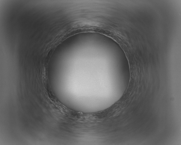 X0000073531061200607311010