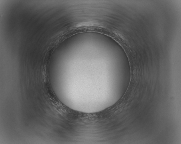 X0000073531062200607311009