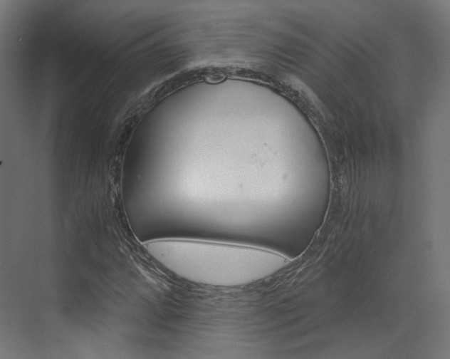 X0000073531064200607311009