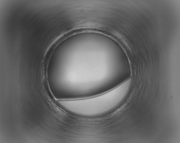 X0000073531069200607311009
