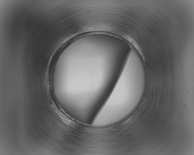 X0000073531072200607311009