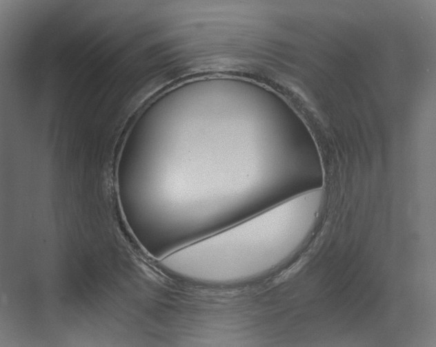 X0000073531073200607311009
