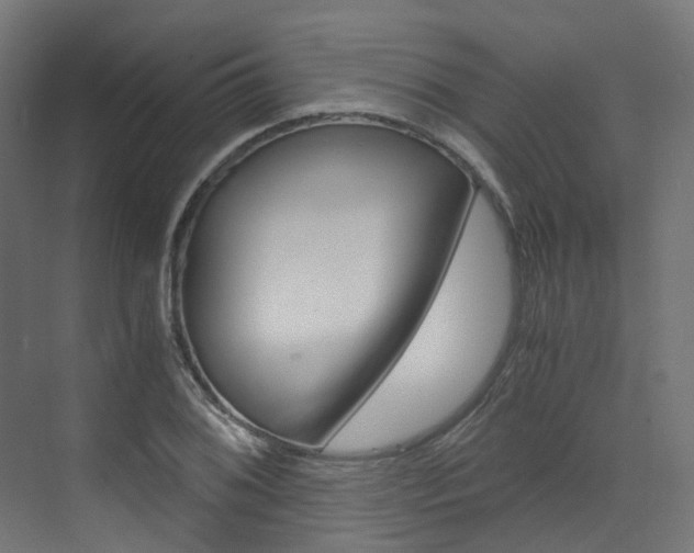 X0000073531076200607311009