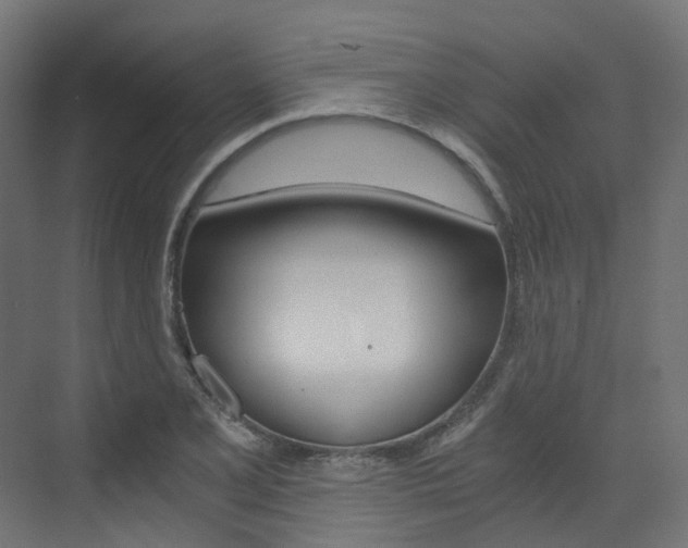 X0000073531077200607311009