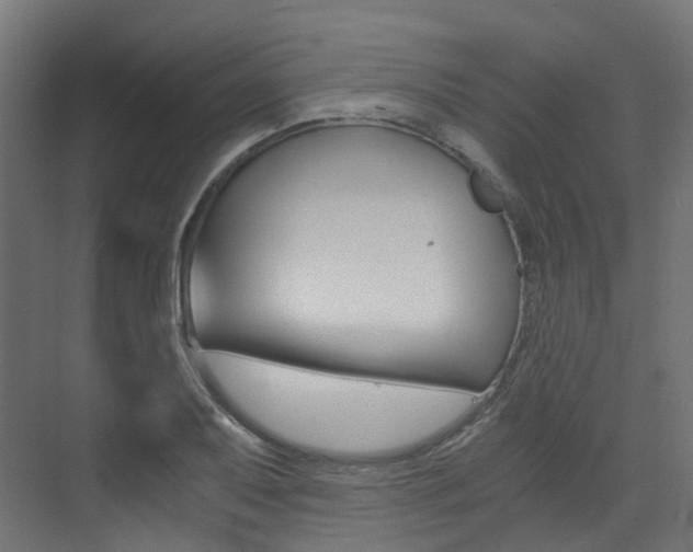 X0000073531079200607311009