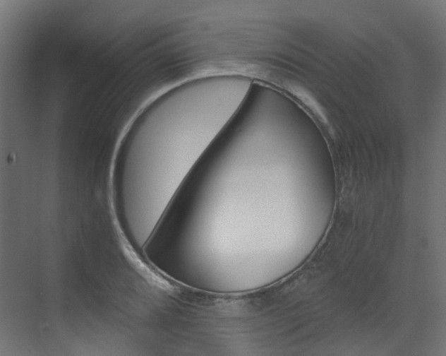 X0000073531080200607311009