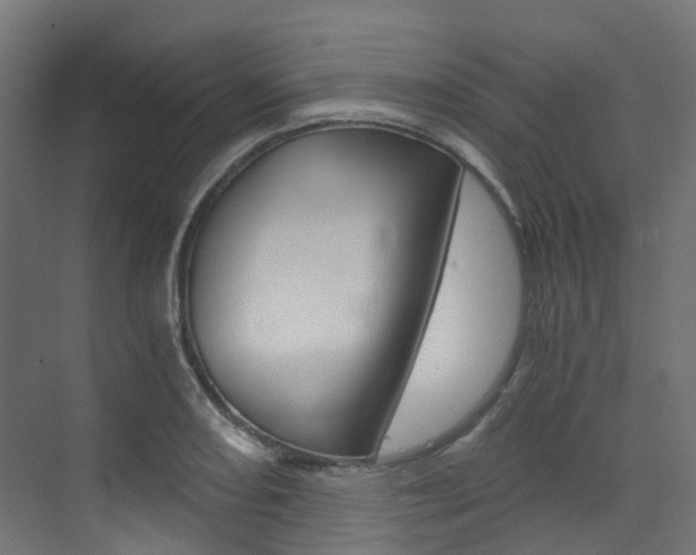 X0000073531082200607311009