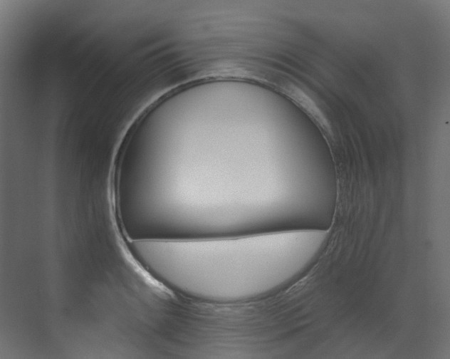 X0000073531084200607311009