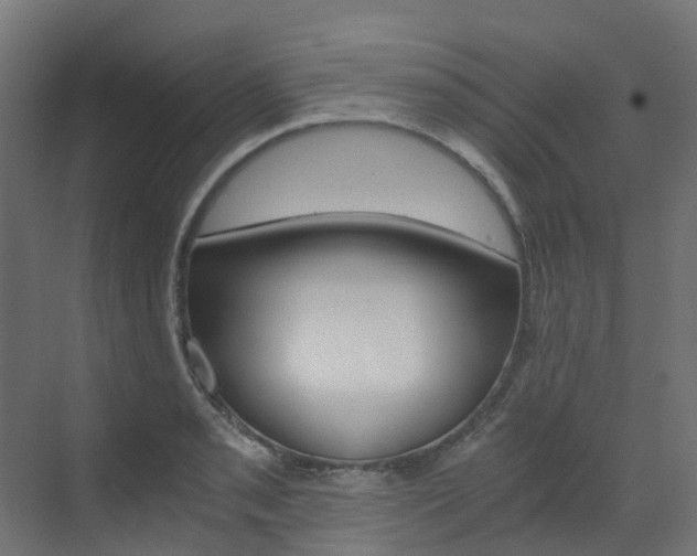 X0000073531085200607311009