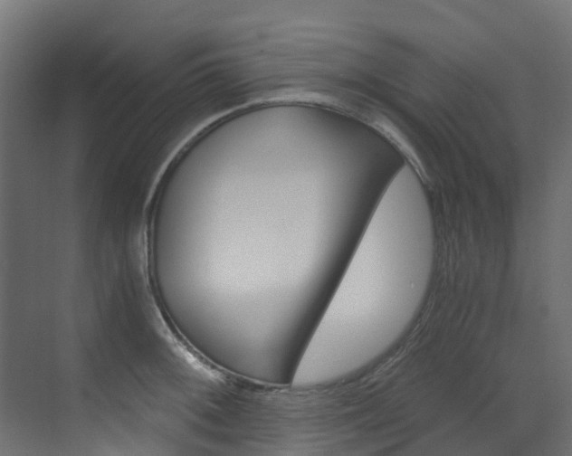 X0000073531092200607311009