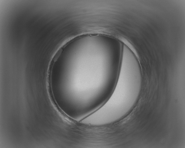X0000073531093200607311009