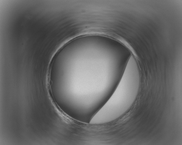 X0000073531101200607311009