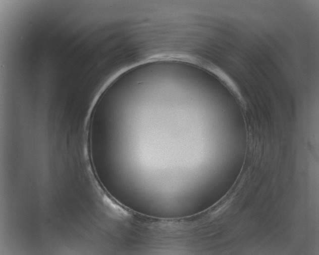 X0000073531102200607311009