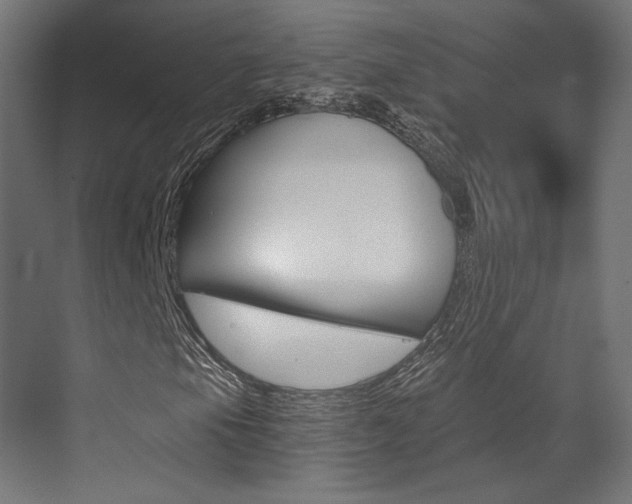 X0000073531105200607311008