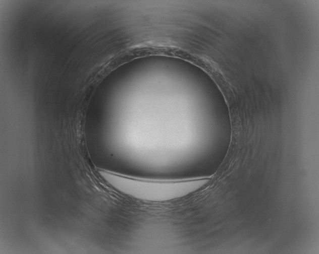 X0000073531110200607311008